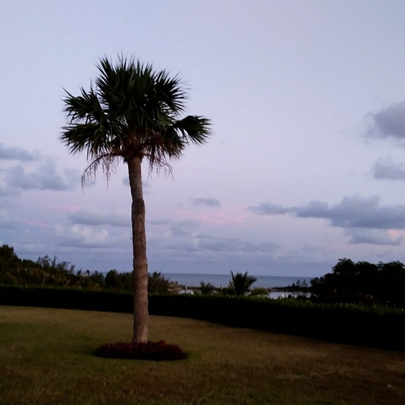 Meet your Posher, Rachael - Picture 3 of 4